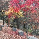 푸른행정사사무소 이미지