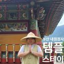 백일홍스테이 | 부산 내원정사 당일형 [ 템플스테이 ] 108배, 체험형 ( 소원등 합장주 만들기 ) 요가 내돈내산 후기