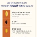 홍유릉로 | 군마트 PX영양제 올인원 이뮨비타, 간호사 딸아이도 인정한 건강 영양제 후기