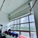 피트니아 이미지