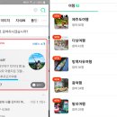 폰테리아 이미지