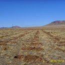 수원-1311 이미지