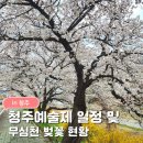 청주예술의전당 대전시실 | 청주 무심천 벚꽃 개화상황 2026 청주예술제 일정 공연 푸드트럭 주차정보