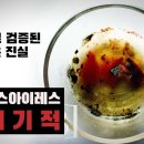 과학으로 검증된 경이로운 진실, "부에노스아이레스 성체기적" (feat.프란치스코 교황) (Eng Sub) 이미지