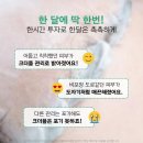한코티에스 이미지
