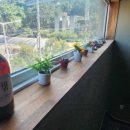 NK오션스테이 이미지