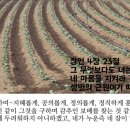 네 마음을 지켜라 - 잠언 4장 이미지