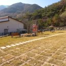 더쉼민박 이미지