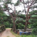 상남농장 이미지