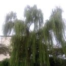 위고행정사사무소 이미지