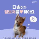 다솔/여아/4개월 이미지