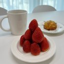 김옥자농장 | 딸기가 조아-❤️(농브라더스(설향), 요즘딸기(설향), 딸기로그린)