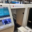 앨리스동물병원 | 엄마랑 타이중 1