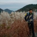 세포삼거리 이미지