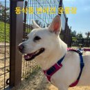 시민운동장(공중) 이미지