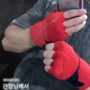 최기수복싱체육관 이미지