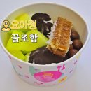 요거트 아이스크림의 정석 이미지