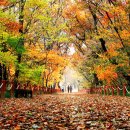(주)그루온 이미지