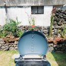 제주배또롱 이미지