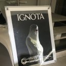 이그노타 IGNOTA CORE:10 에버닌스테어스 팝업 후기 및 이벤트 공유