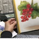 보태니컬아트(색연필화) 이미지