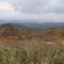 2014. 11. 2 경주 동대봉산 무장봉(624m) 억새평원 이미지