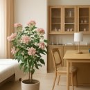 사랑이꽃피는한의원 | 정돈된 환경을 갖춘 사랑이 꽃피는 한의원 해운대 교통사고입원 및 체질 생활 관리