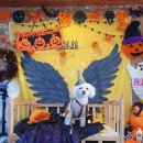 디비디비(dbdb) 이미지