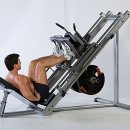 Leg press와 발 위치와의 관계 이미지