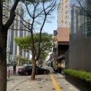 청담-128 | 청담역 위스키바)78.4_다양한 위스키_2차로 오기 좋은 청담동 술집