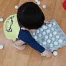 아이스포렉스 이미지