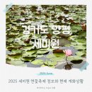 활짝핀유치원 | 2025 세미원 연꽃축제 일정 및 정보 개화현황