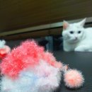 심심이 (주) 이미지