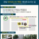 하이퍼스트수학