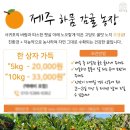 제주하뭄 이미지