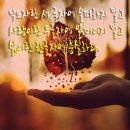 슈슈헤어 - 김해시 | 슈슈헤어