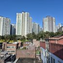 중앙동242 이미지