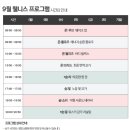 웰빙요가(오후) | 강원도 웰니스 호텔 정선 하이원리조트 웰니스 프로그램 후기