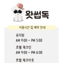 왓썹독 이미지