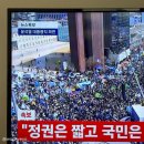헬로멍멍 | (일상) 2025-04 : 드디어 봄