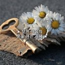 마음의 문을 여는 지혜 / 톨스토이 이미지