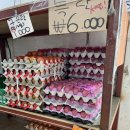 구산동야채가게