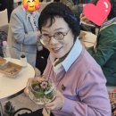 웰리스힐링센터