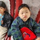 용비농장 이미지