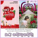 팬플루트(야간) | 대구 이곡장미공원 산책하기 좋은 아이와 가볼만한곳 / &#39;장미꽃 필(Feel)무렵&#39; 축제 정보