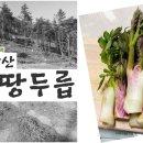 두지숲농원