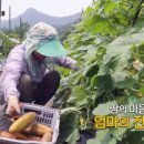 엄마밥상 반찬 이미지