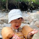 모던핏 네이버블로그