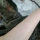 도톨그루밍 | 4월 3주차 생각날때마다 쓴 누덕누덕(;;) 주간일기