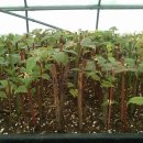 태안목장 이미지